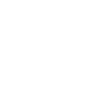 CSD_Logo_REV